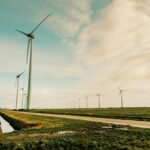 Incentivize sustainable living